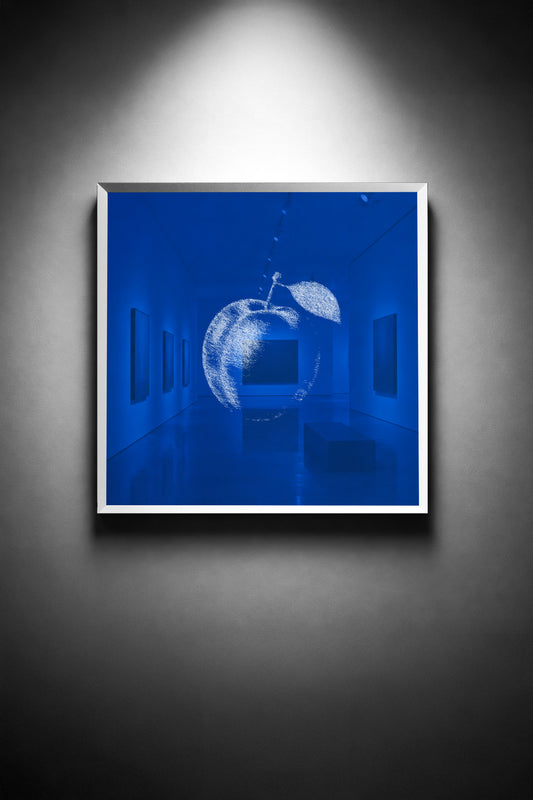 A Plum Held in Blue - thumbnail