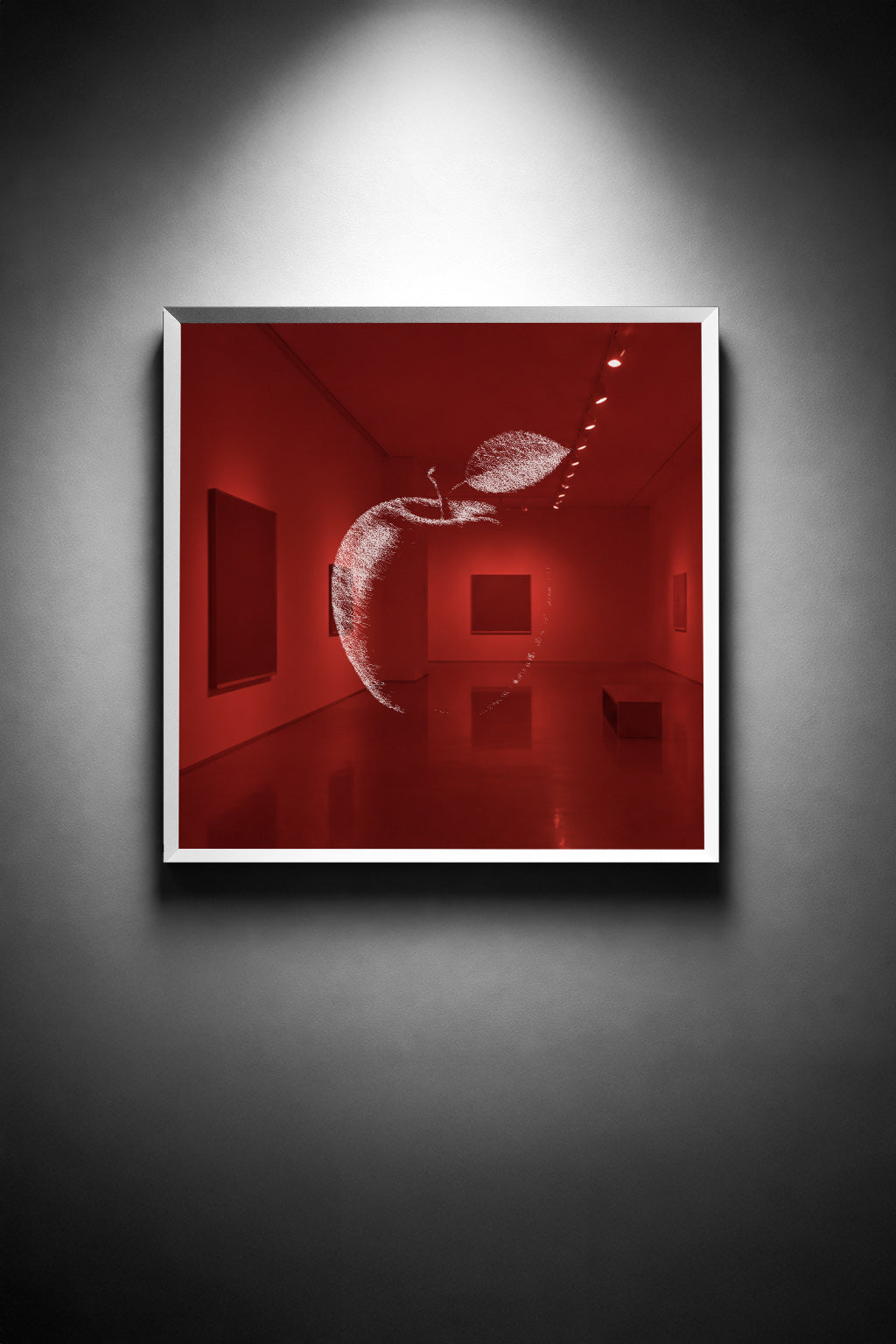 A Rim Ignites the Red - thumbnail