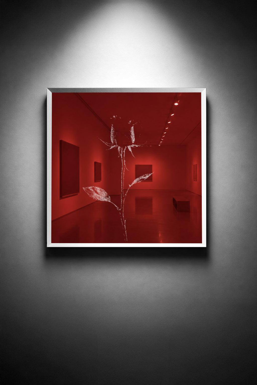 A Thorn Holds Its Fire - thumbnail
