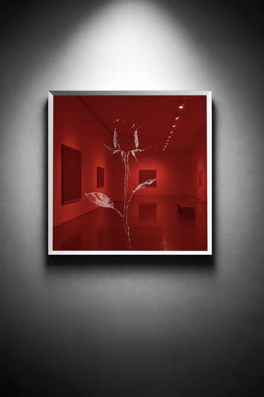 A Thorn Holds Its Fire - thumbnail