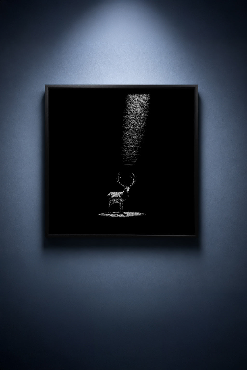 Crowned in Falling Light - thumbnail