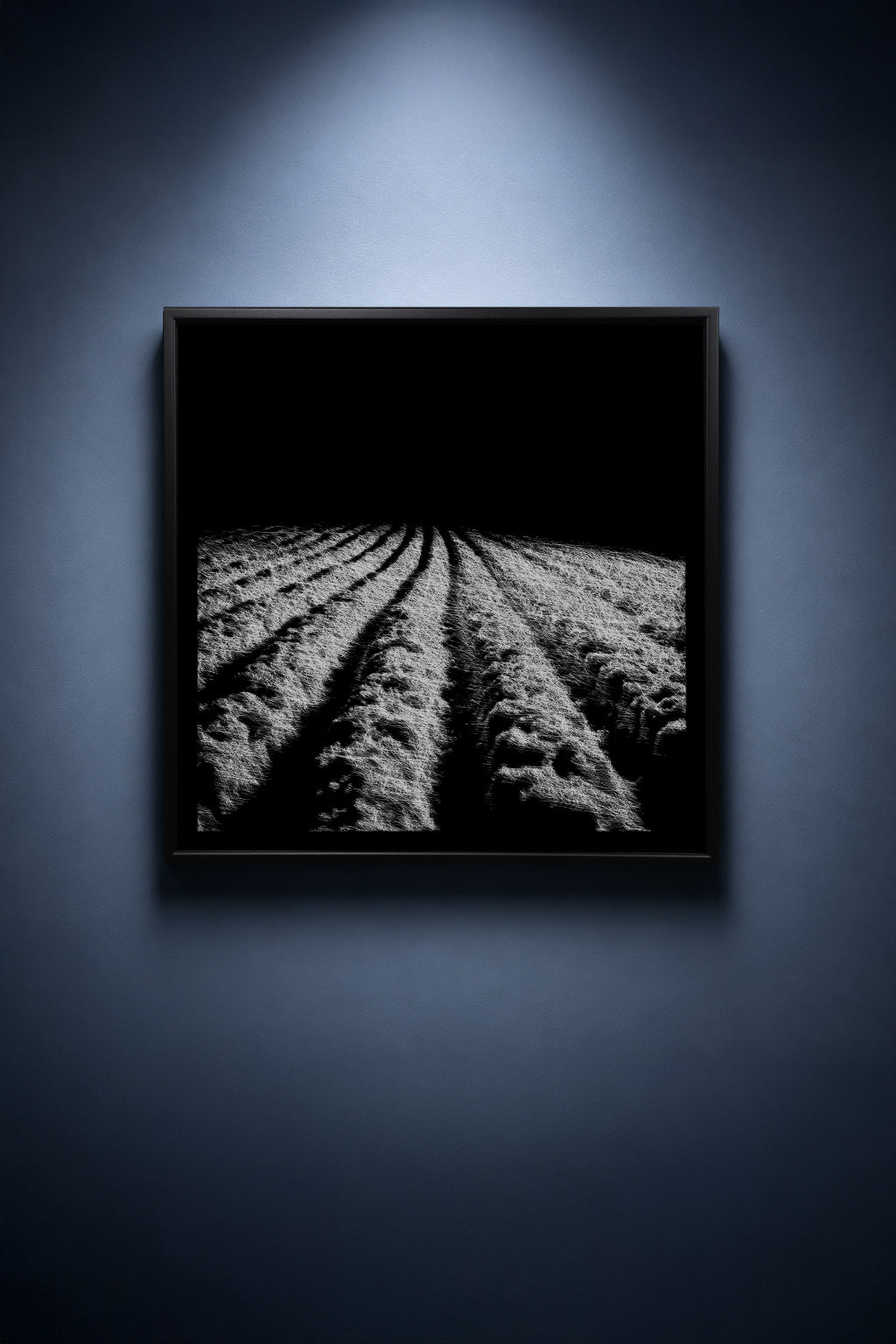 Snow Silences the Field - thumbnail