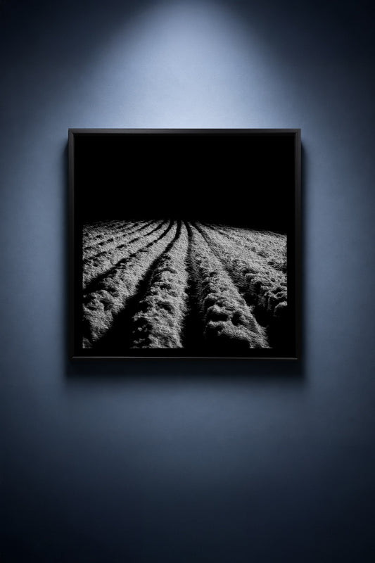Snow Silences the Field - thumbnail