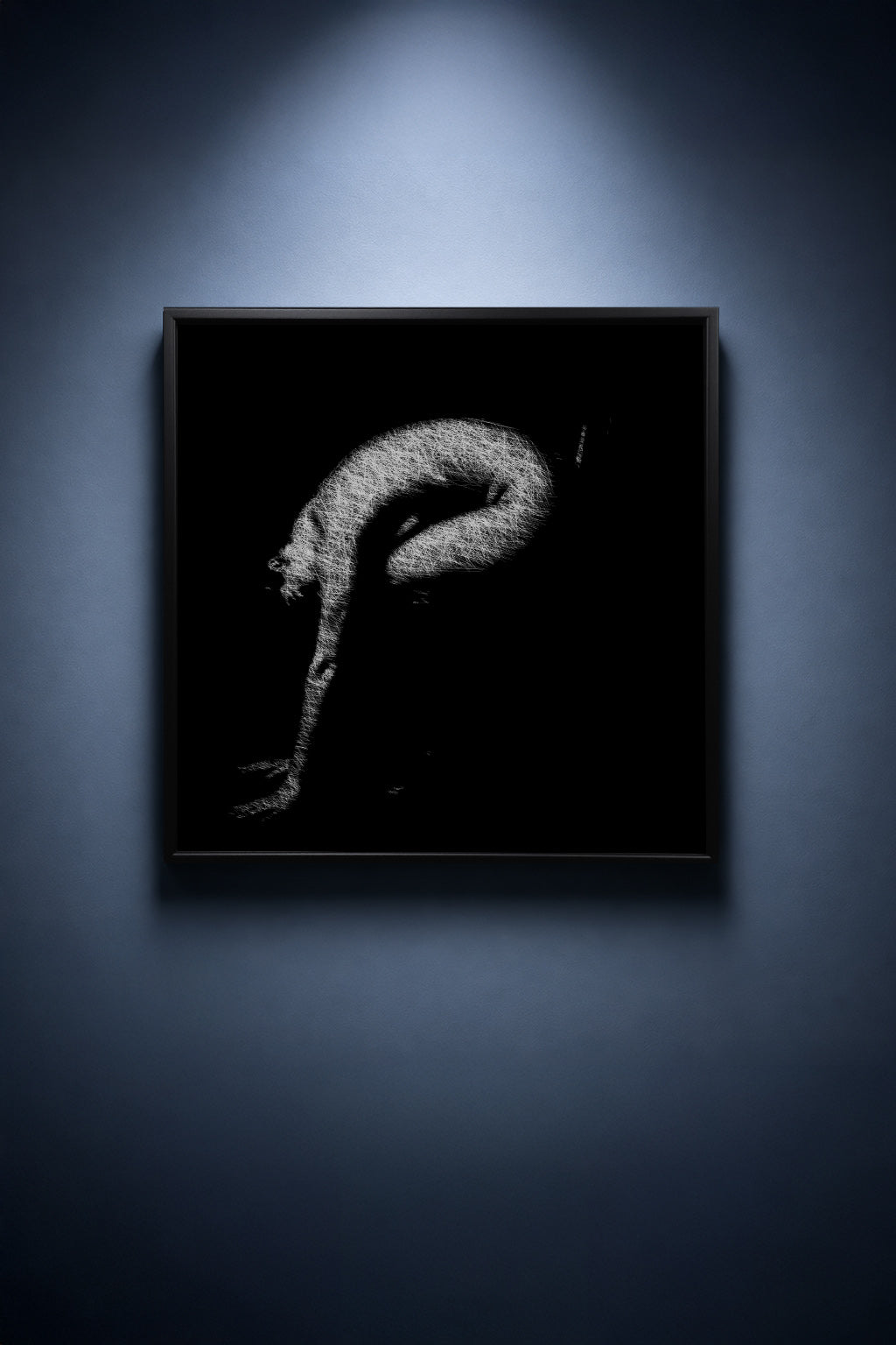 The Body Becomes a Question Mark - thumbnail