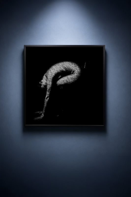 The Body Becomes a Question Mark - thumbnail