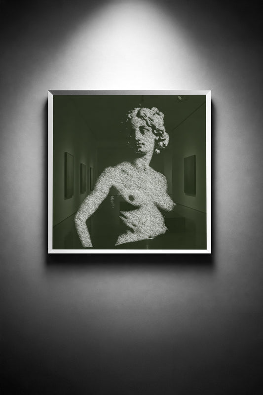 Venus Traced in Wild Bramble - thumbnail